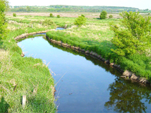 Badger Mill Creek