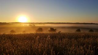 sunrise