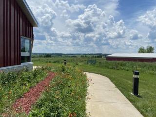 pollinator garden